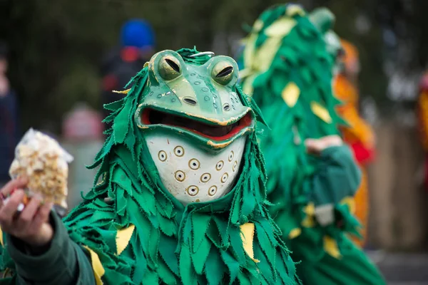 Neuenburg Germany February 2020 Portrait People Carnival Mask Frogs Parading — Stock Photo, Image