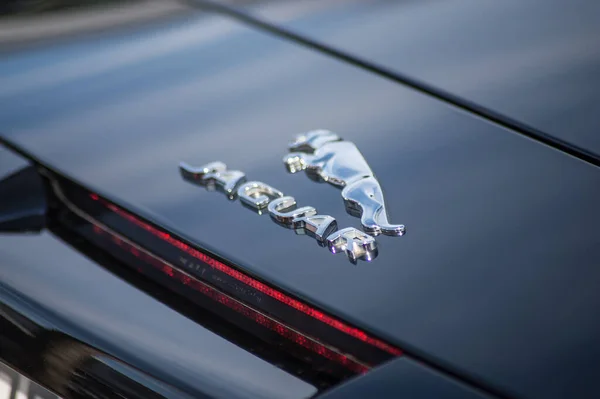 Mulhouse France March 2020 Closeup Jaguar Logo Black Car Parked — 图库照片