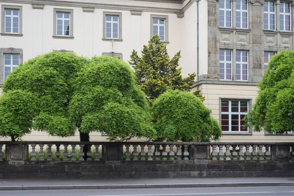 View Beautiful Trees Front Historic Buldings Mulhouse France — Stock Photo, Image