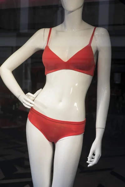 Closeup Brown Lingerie Mannequin Fashion Store Showroom Stock Photo by  ©NeydtStock 475101590