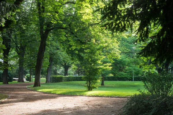 프랑스 뮐루즈의 살바토르 공원에 아름다운 여자의 — 스톡 사진