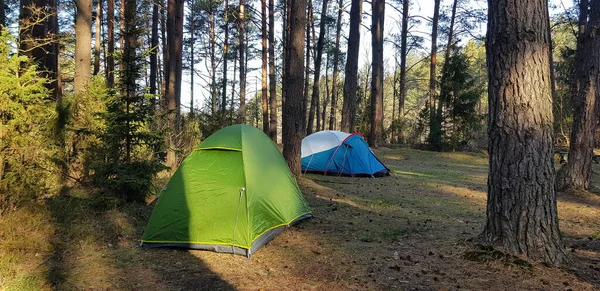 テントキャンプでの休暇旅行インスピレーションのライフスタイルのリラックスキャンプテントでのキャンプ、 10で森の中の野生の休暇ハイキング — ストック写真