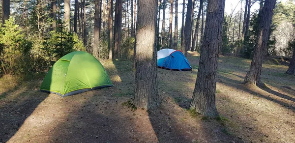 テントキャンプでの休暇旅行インスピレーションのライフスタイルのリラックスキャンプテントでのキャンプ、 10で森の中の野生の休暇ハイキング — ストック写真