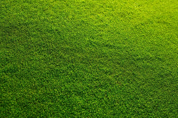 Beautiful green grass texture from golf course — Stock Photo, Image