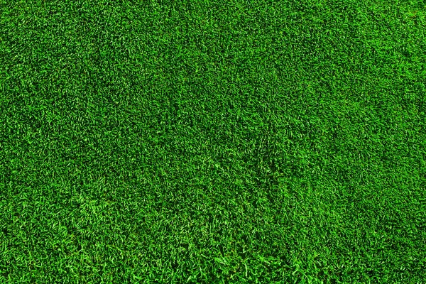 新鮮な緑の草テクスチャ背景としてのフィールド — ストック写真