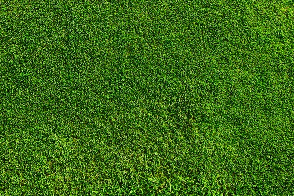 Campo de futebol verde grama — Fotografia de Stock