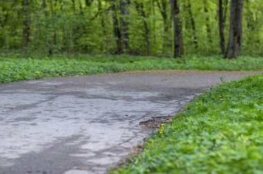 Aylakların rahatı için parkta asfalt yol