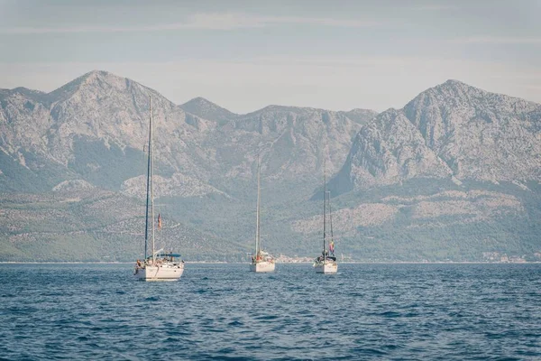 Segling Adriatiska Havet Korcula Makarska Korcula Kroatien Yacht Småbåtshamn Segling — Stockfoto