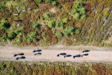  Polonyalı dağların havadan görünüşü Beskid. Malinowska skala yolu Skrzyczne Silesia Polonya 'da 