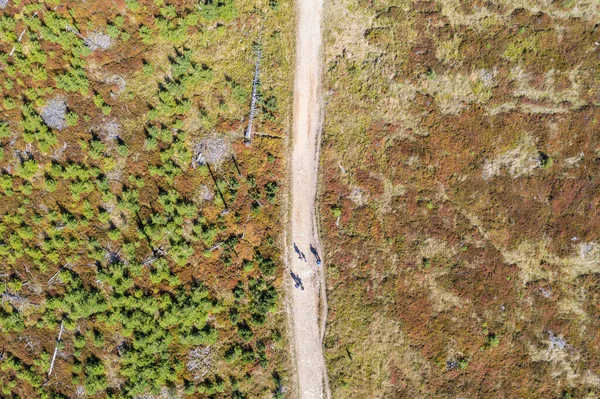 Vista Aérea Las Montañas Polacas Beskid Sendero Skala Malinowska Skrzyczne —  Fotos de Stock