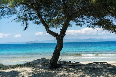 Kassandra 'nın Glarokavos Limanı' ndaki Lagoon plajı Penisula Chalkidiki Yunanistan