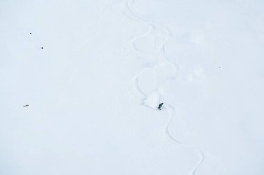 Gudauri Gürcistan 'da serbest gezici kayakçı.