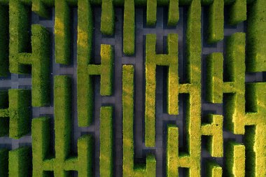 Bahçedeki yeşil labirent geometrik simetri labirenti Hava aracı görüntüsü