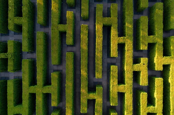 Green Labyrinth Garden Geometrical Symmetry Maze Aerial Drone View — Stock Photo, Image