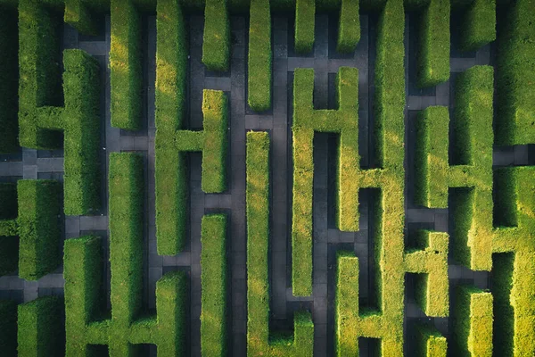 Grön Labyrint Trädgård Geometrisk Symmetri Labyrint Antenn Drönare — Stockfoto