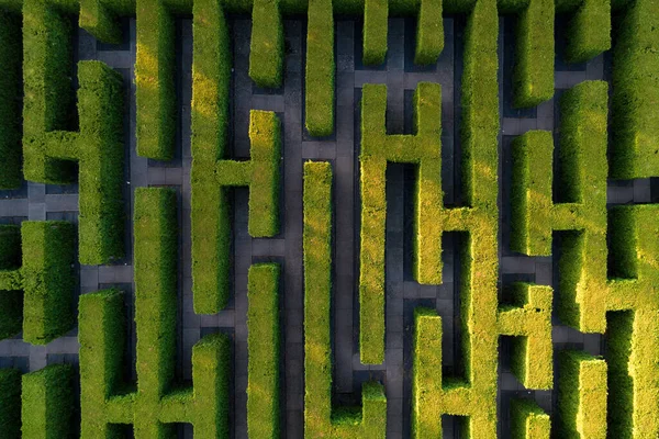 Grünes Labyrinth Garten Geometrisches Symmetrielabyrinth Luftaufnahme Drohne lizenzfreie Stockfotos