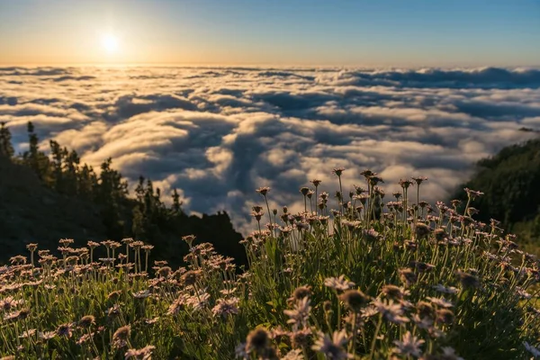 Sonnenuntergang Wolken Über Teide Nationalpark Teneriffa Insel Kanarische Inseln Kanaren lizenzfreie Stockbilder