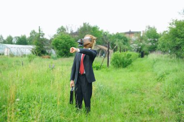 Otla dolu bir arazide komik bir işadamı atı