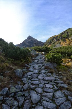Polonya 'nın Zakopane Polonya' daki Tatra Dağları Ulusal Parkı 'nın tepeleri