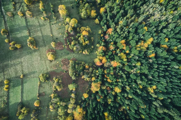 Góry Beskidu Żywcu Polskie Góry Wzgórza Zdjęcia Dronów — Zdjęcie stockowe