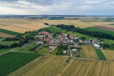 Polonya köyü, Nysa ilçesindeki tarla Polonya