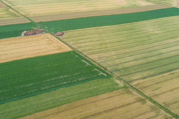 Pueblo País Agricultura Formas Campo Aéreo Avión Tripulado Foto —  Fotos de Stock