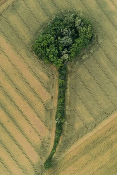 Vila País Formas Agricultura Campo Drone Aéreo Foto — Fotografia de Stock