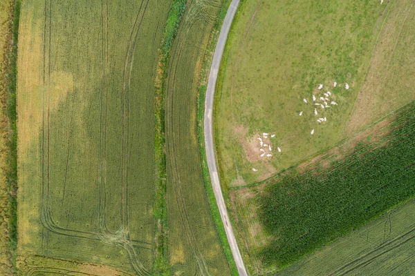 Vila País Formas Agricultura Campo Drone Aéreo Foto — Fotografia de Stock