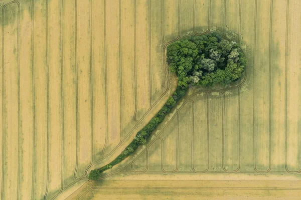 田间无人驾驶飞机照片中的农村耕作形态 — 图库照片