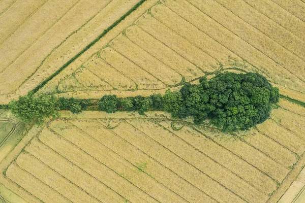 Köyün Taşra Çiftçiliği Hava Aracı Fotoğraflarında Görülüyor — Stok fotoğraf