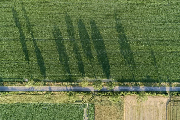 Vila País Formas Agricultura Campo Drone Aéreo Foto — Fotografia de Stock