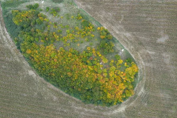 田间无人驾驶飞机照片中的农村耕作形态 — 图库照片