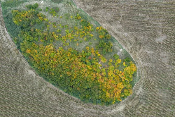 Village Land Jordbruk Former Fält Antenn Drönare Foto — Stockfoto