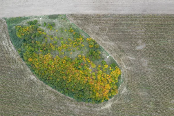 Dorf Land Landwirtschaft Formen Feld Luftbild Drohne Foto — Stockfoto