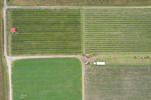 Village Country Farming Shapes Field Aerial Drone Photo — Stock Photo, Image