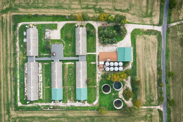 Bâtiment Agricole Collectif État Polonais Sur Terrain — Photo