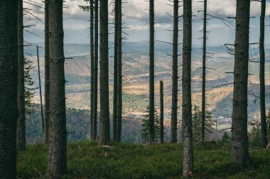 Beskid dağları Pilsko PolandPolish dağları ve tepelerinde hava aracı fotoğrafı