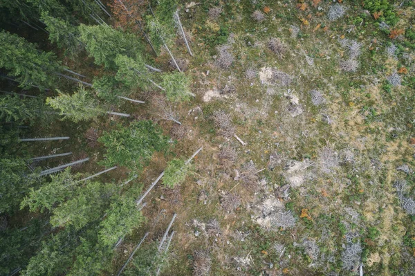 Beskydy Pilsko Polskupolské Hory Kopce Letecký Dron Foto — Stock fotografie