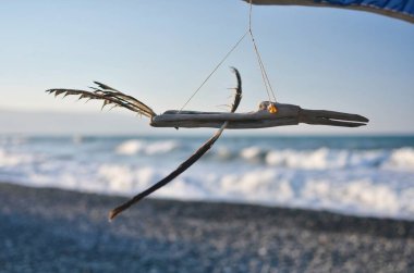 Yunanistan 'da sahilde odun kuş