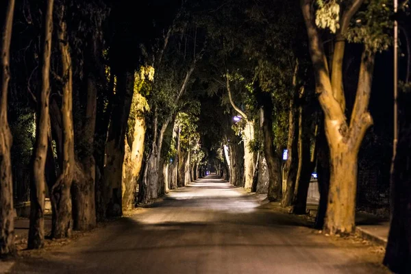 Eukalyptus Street Night Foto Von Kolymbia Auf Rhodos Griechenland — Stockfoto