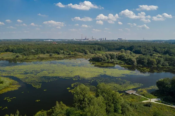 Aerial Drone Photo Pier Green Lake Poland — Stock Photo, Image