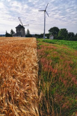 Polonya 'daki eski yel değirmenleri
