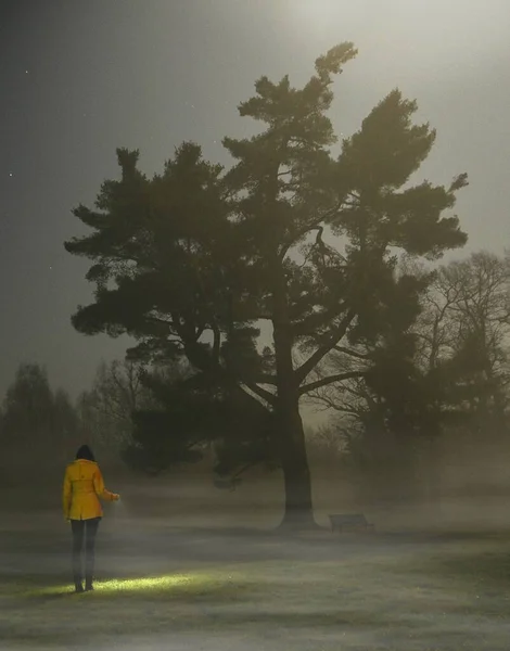 Femmes Avec Lampe Poche Nuit Fond Grand Arbre — Photo