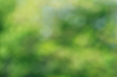 Bulanık, bulanık yeşil çiçekli arka plan, biraz bokeh, yumuşak odaklı.