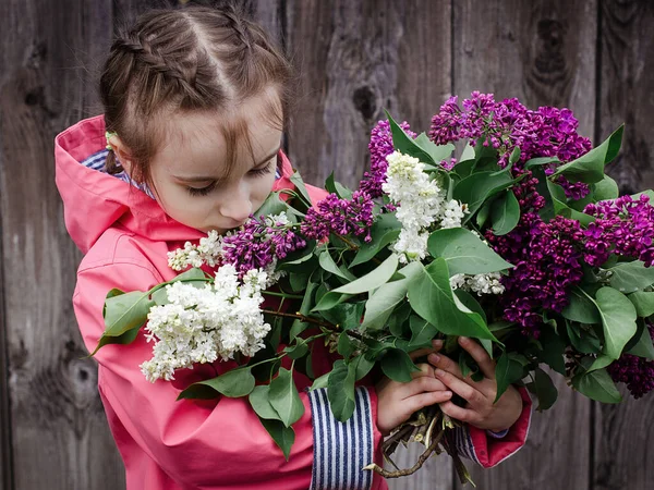 little girl in a pink raincoat with a bouquet of multi-colored lilac. Background old wood. Purple, violet and white lilac in a bouquet. Spring bloom.