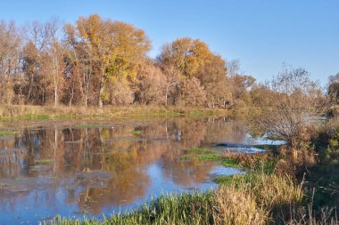 Nehir kıyısında yürü Snezhet.
