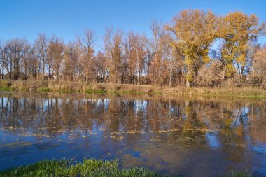 Nehir kıyısında yürü Snezhet.