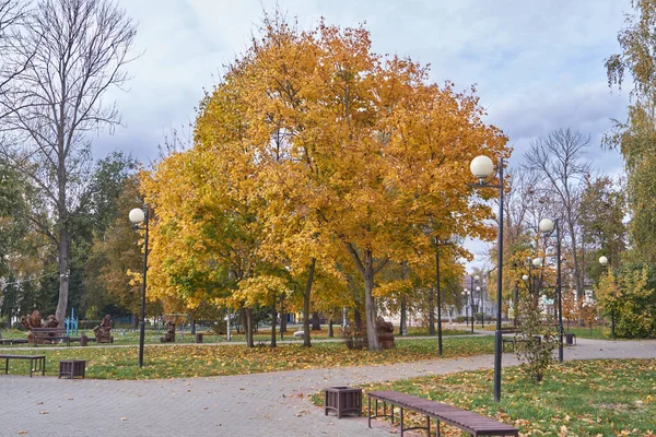 Gouden Herfst Een Stadspark — Stockfoto