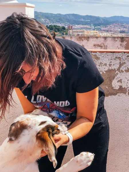Yaşam Tarzı - Köpek ve kız arkada Barselona ile çatıda iyi vakit geçirin