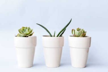 Gri ve Turuncu Arkaplanda Sulu